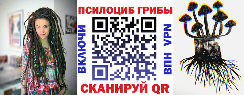 дарнет шоп  MEGA зеркало  Галлюциногенные грибы Cubensis  Краснознаменск 